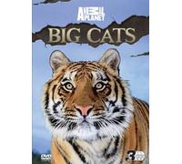 Discovery Channel - Big Cats [DVD] [Reino Unido]