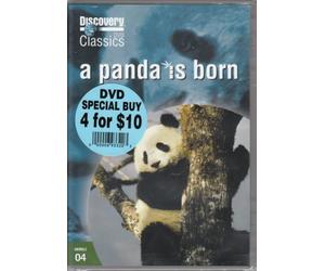 Discovery Classics A Panda Is Born