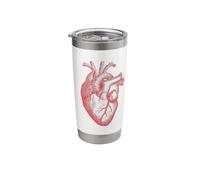 Disección anatómica del corazón Órgano de biología científica Vaso térmico de acero inoxidable de doble pared
