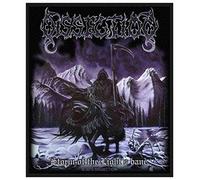 Disección Storm 2016, 10 x 9 cm