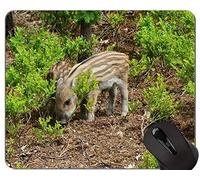 Diseño animal Cute Baby Pig Mousepad, Hog Wild Mouse Pad con bordes cosidos