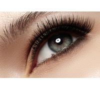 Diseño de cejas con tinte natural de henna y asesoría