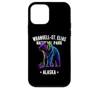 Diseño de estilo Alaska del Parque Nacional Wrangell-St Elias Carcasa para iPhone 12 mini