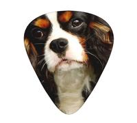 Diseño de mascota de cachorro de orejas largas de perro Shih Tzu,12 púas de guitarra, 3 grosores diferentes para guitarra acústica, bajo y ukelele