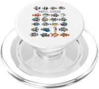 Diseño de Peces Coloridos de Nápoles Florida PopSockets PopGrip para MagSafe