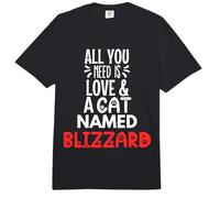 Diseño de ventisca con Nombre de Gato: Todo lo Que Necesitas es Amor Comfort Colors Adult Heavyweight T-Shirt