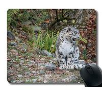 Diseño del cojín de ratón del Juego de Yanteng, cojín de ratón Modificado para requisitos particulares Que se Sienta del Leopardo Blanco