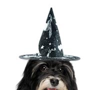 Disfraces de gato para Halloween - Disfraz de bruja de gato,Correa de malla transpirable sombrero ajustable para raza grande y mediana accesorios de fotos fiesta