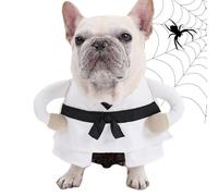 Disfraces de Halloween para perros Divertidos inspirados en el arte
