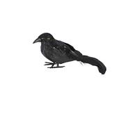 Disfraces FCR - Cuervo plumas 22x6x9cm