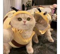Disfraz de abeja para gato con gorro de punto Kawaii, conjunto de gatito, gatito, lindo traje para mascotas, ropa de muñeca para gatos y perros (abeja, S)