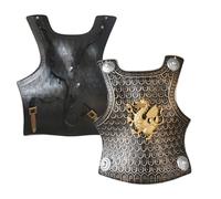 Disfraz de armadura romana infantil | PP, Plastron 37,5 x 33,5 cm, hombros 17,5 x 11,5 cm, brazo 17 x 9 cm | Bronce/Plata con accesorios de armadura | Disfraz caballero rol niña niño