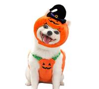 Disfraz De Calabaza De Cachorro - Adorable Cat Halloween Clockin Costume | Ropa De Ropa De Salida De Mascotas De Halloween Festiva | Dog Cat Hallowen Pumpkn Costum Adecuado Para Una Sesión De Fotos De