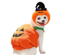 Disfraz De Calabaza De Cachorro - Adorable Cat Halloween Clockin Costume | Ropa De Ropa De Salida De Mascotas De Halloween Festiva | Dog Cat Hallowen Pumpkn Costum Adecuado Para Una Sesión De Fotos De