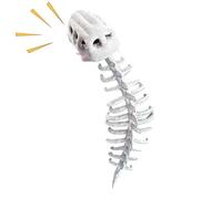 Disfraz de columna vertebral - Terciopelo, traje de cosplay de 45.2 pulgadas, diseño de esqueleto de dinosaurio, disfraz listo para Halloween y , traje de juego de rol temático para adultos