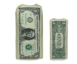 Disfraz de dinero - Traje temático de un dólar, ropa de novedosa, ropa para eventos escénicos para adultos y jóvenes, tejido cómodo con ajuste holgado, apariencia de carácter juguetón para Schu