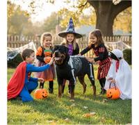 Disfraz de esqueleto para perro, disfraz de perro de hueso aterrador, traje de Halloween con patrón de calavera para mascotas, divertido vestido de cachorro de raza grande (XL)