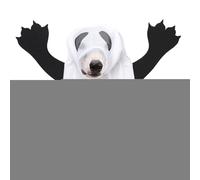 Disfraz De Fantasma Perro Pequeño Ropa Para Mascota Juego De Rol