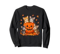 Disfraz de Gato Calabaza Jack O Lantern de Halloween Sudadera