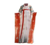 Disfraz de la dinastía Tang para niña: elegante Hanfu de seda con falda para niñas, ropa china vintage para primavera y otoño, Tipo 2, 100 cm