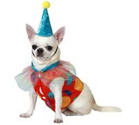 Disfraz de Payaso con Gorrito para perro