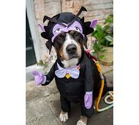 Disfraz de perro de vampiro de Krewe The Count | Disfraz de monstruo de Drácula de la calle sésamo para perros y gatos | Pequeño, mediano, grande y XL
