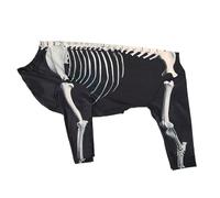 Disfraz de perro, Halloween Skeleton Bodysuit, Soft Comfortable Fabric, Easy to Wear Design, Puppy Pet Outfit for Holiday Photos, Celebrations, Travel, Home, Outdoor Use, L/XL/2XL/3XL Size