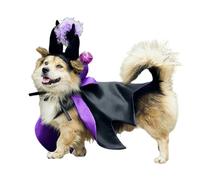 Disfraz de perro - Pets Costumes | Gato Cloak Witch Hat Costumes, Soft Comfortable Outfit Witch Dog Costume for Small Medium Cats Dogs | Comfortable Halloween Pets Costumes for Cats Dogs