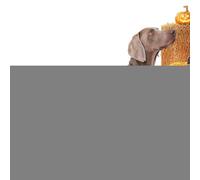 Disfraz de perro - Sudadera de esqueleto para perro, ropa de Halloween para mascotas, body para cachorros, para reuniones de amigos, fotos, día festivo, cosplay, celebraciones, viajes al aire libre