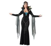 California Costumes 1231 Disfraz de bruja/mago malvado de hechicera para adultos, negro/turquesa, grande