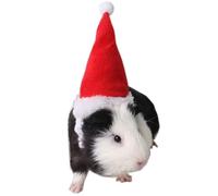 Disfraz de tumba de indias de hmster aniac Mini Santa Santa para gatito Chinchilla Conejo Conejito Hedgehog Hidret Squirrel Ratas de pato recin nac