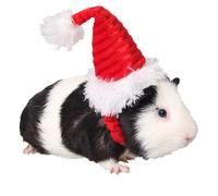 Disfraz de tumba de indias de hmster aniac Mini Santa Santa para gatito Chinchilla Conejo Conejito Hedgehog Hidret Squirrel Ratas de pato recin nac