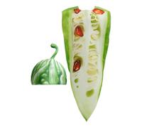 Disfraz De Verdura | Disfraz De Halloween Calabaza Amarga Role Play | Accesorios De Fiesta Realistas Para Hombres Mujeres Adolescentes Holiday Mardi Gras Eventos | Traje Para Fotos Cumpleaños