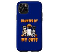 Disfraz Divertido de Calabaza Fantasma Haunted by My Cats para Halloween Carcasa para iPhone 11 Pro