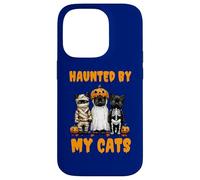 Disfraz Divertido de Calabaza Fantasma Haunted by My Cats para Halloween Carcasa para iPhone 14 Pro