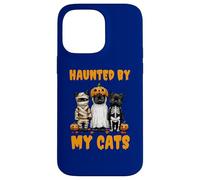 Disfraz Divertido de Calabaza Fantasma Haunted by My Cats para Halloween Carcasa para iPhone 14 Pro MAX