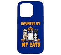 Disfraz Divertido de Calabaza Fantasma Haunted by My Cats para Halloween Carcasa para iPhone 15 Pro