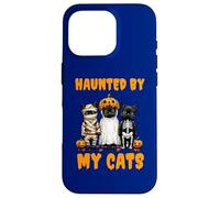 Disfraz Divertido de Calabaza Fantasma Haunted by My Cats para Halloween Carcasa para iPhone 16 Pro