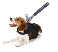 Disfraz divertido de cosplay para perro, diseño de manchas de sangre, accesorios de disfraz suave y cómodo, disfraces de Halloween para perros pequeños