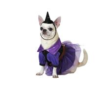 Disfraz para Perro Bruja Talla L