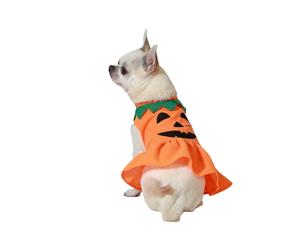 Disfraz para Perro Calabaza Talla M