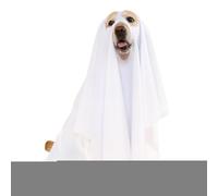 Disfraz para Perros | Disfraz para Perros con Caramelo o Trato para de Halloween - Suministros para Mascotas Ropa de Miedo para Gatos Paseo Celebraciones Cachorro Gattin