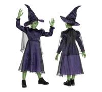 Disguise Disfraz de Elphaba Malvada para niños de 3 a 4 años