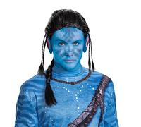 Disguise Men's Avatar Classic Jake Wig Standard