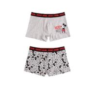 Disney - 48542P Pack de 2 Boxer Hombre Estampado Color: Surtidos Talla: L
