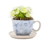 Disney Alicia en el país de las maravillas - Maceta para taza de té con planta sintética