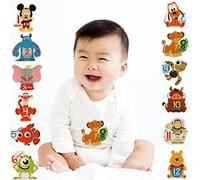 Disney Baby Boys Assorted Character Monthly Milestone Photo Prop Belly Stickers, 12 Sticker Gift Set, 0-12M