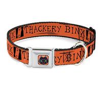 Disney Collar para Mascotas, Collar de Perro, Hebilla de cinturón de Seguridad de Metal, Silueta de Gato Hocus Pocus Thackery Binx, Naranja y Negro, 20 a 31 Pulgadas, 1.5 Pulgadas de Ancho
