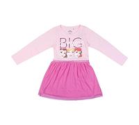 Disney Princesas Vestido para Niñas, Falda Tutu Brillante | Talla 6 Años