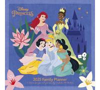 Disney princess 2025 family planner 30 x 30 cm pyramid